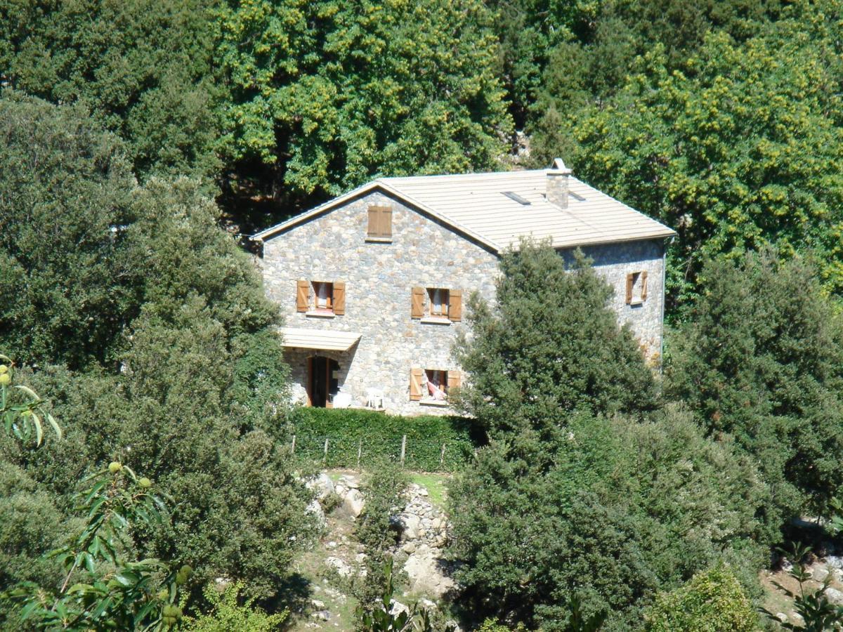 Chambre D'Hote "Chez Antoinette Et Charles" Santo-Pietro-di-Venaco Kültér fotó