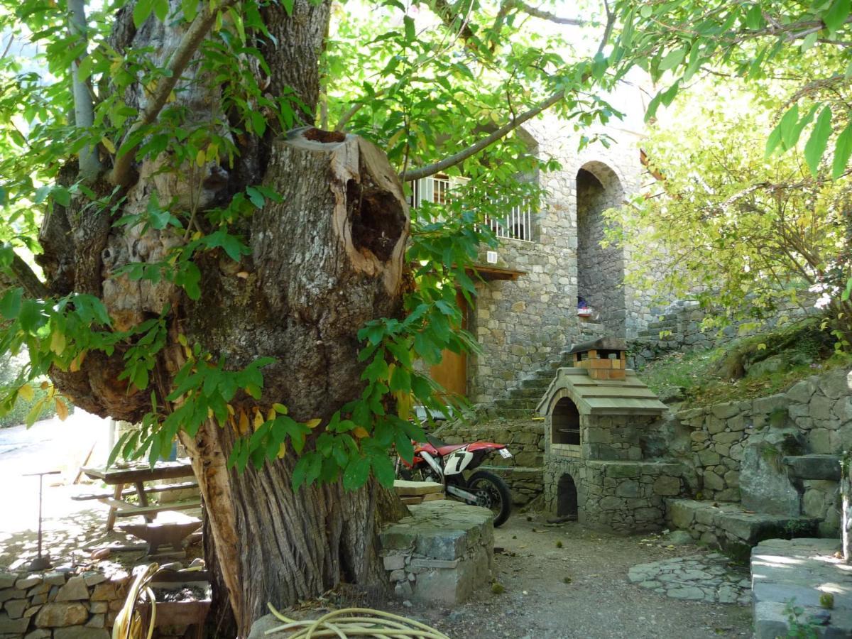 Chambre D'Hote "Chez Antoinette Et Charles" Santo-Pietro-di-Venaco Kültér fotó