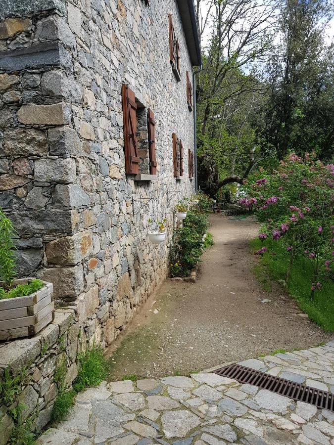 Chambre D'Hote "Chez Antoinette Et Charles" Santo-Pietro-di-Venaco Kültér fotó